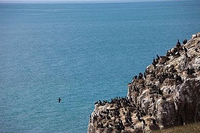 《辐射4：新维加斯》Mod新截图 NCR安全屋内景展示